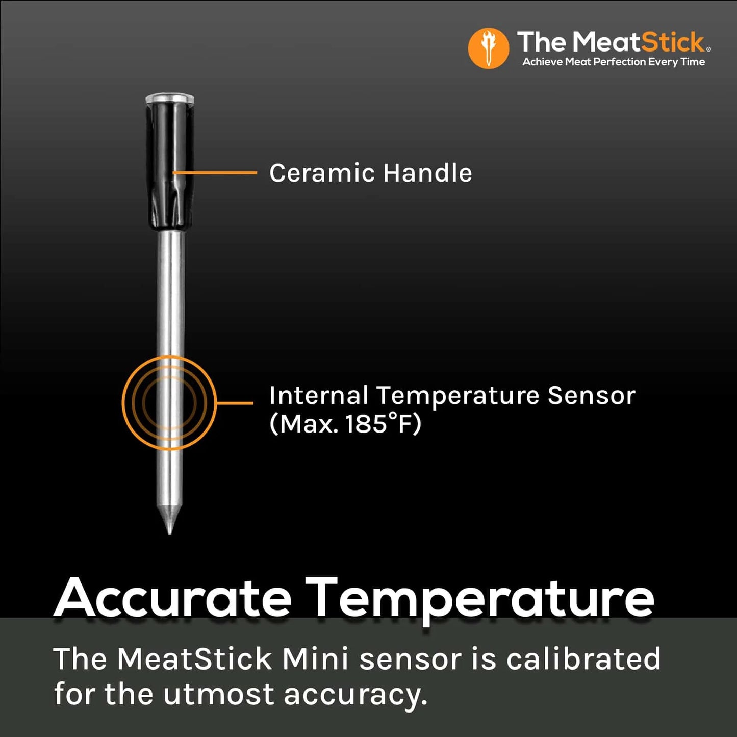 MeatStick WiFi Pro Set - SAVE 30%