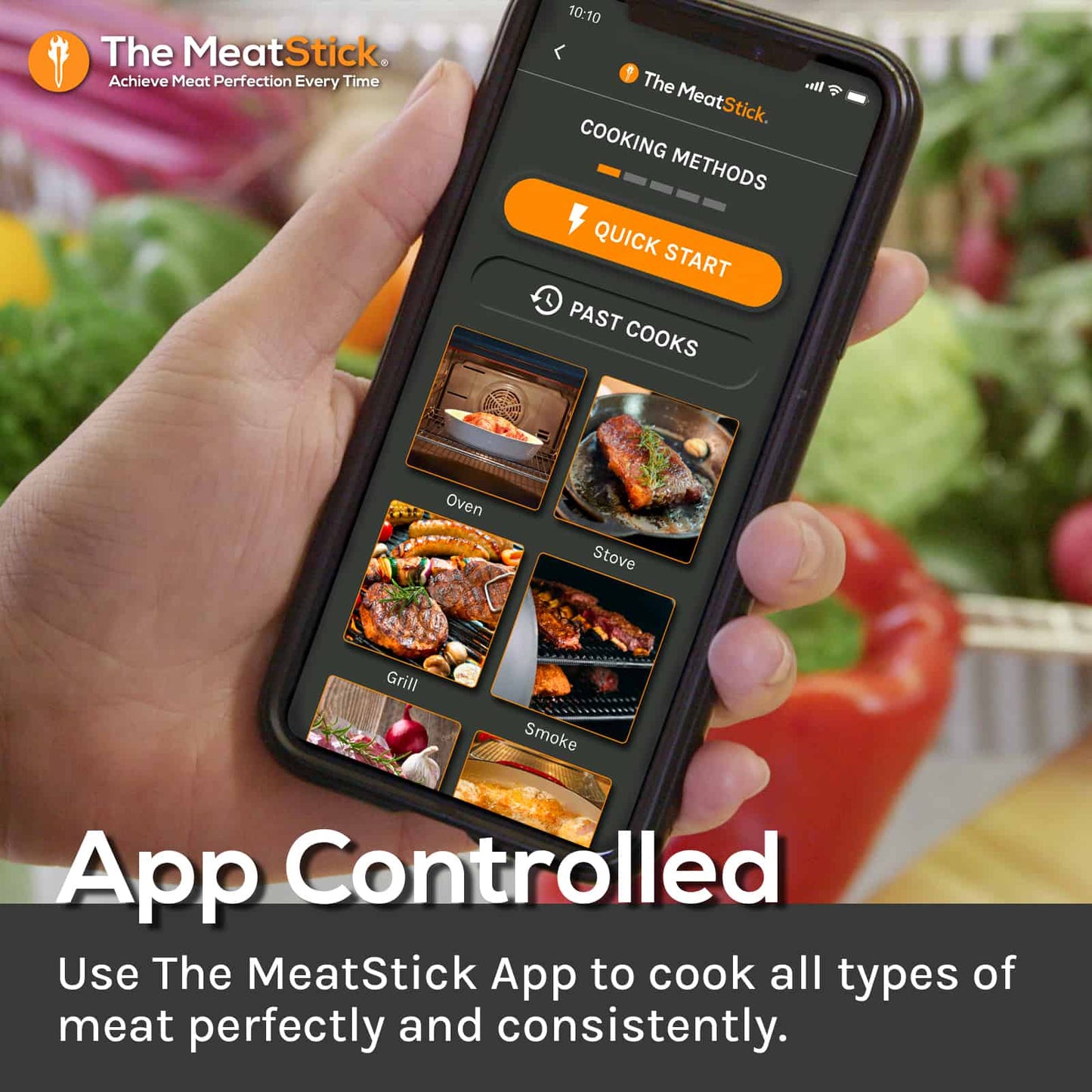 MeatStick Set - SAVE 30%