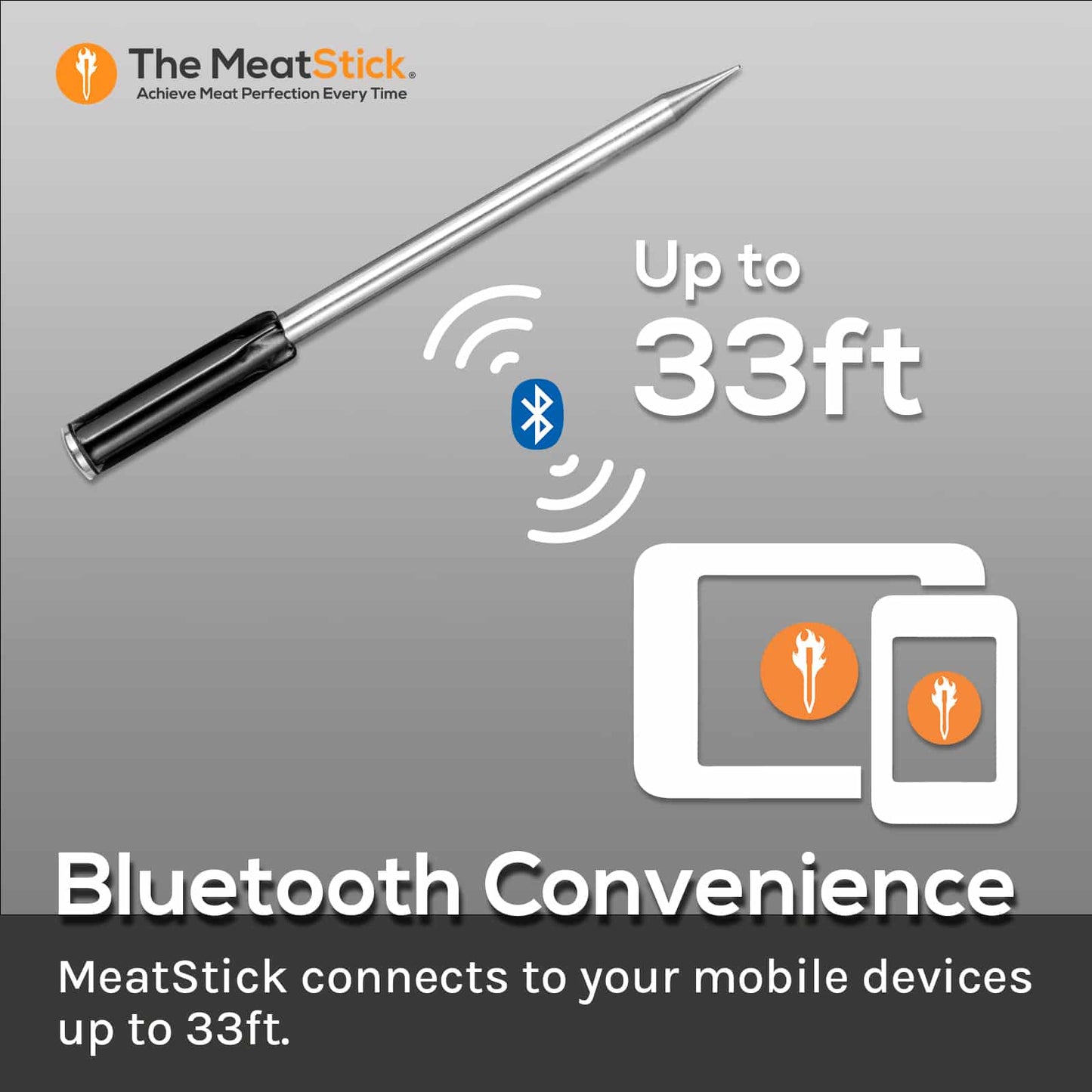 MeatStick WiFi Bridge Set - SAVE 30%