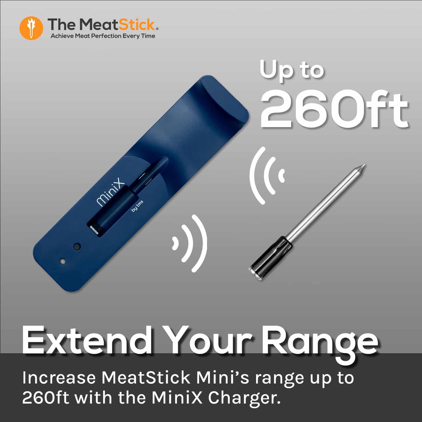 MeatStick WiFi Pro Set - SAVE 30%