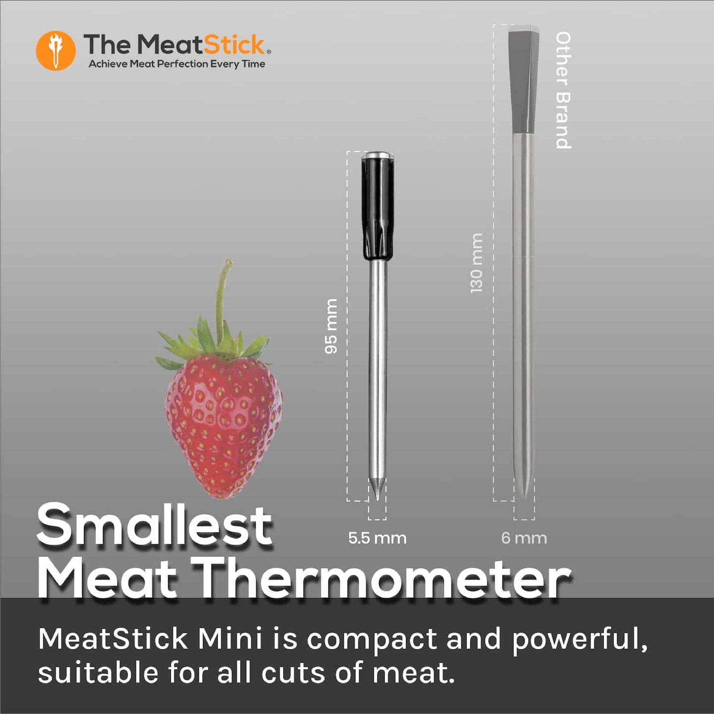 MeatStick Mini Set - SAVE 30%